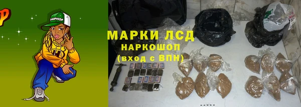 сатива Баксан
