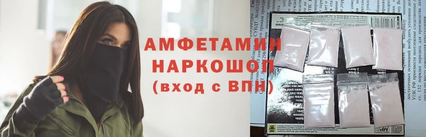сатива Баксан