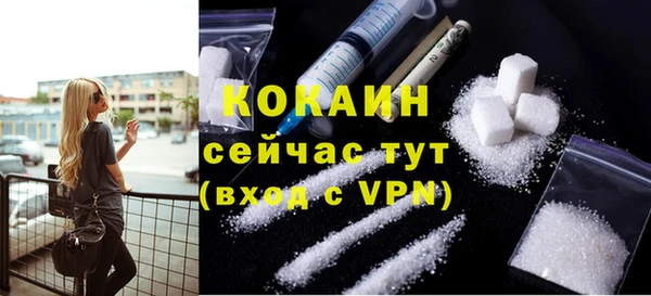 сатива Баксан
