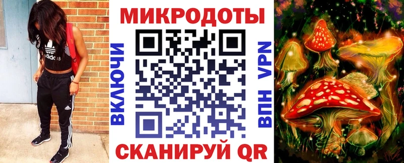закладки  Балахна  Псилоцибиновые грибы прущие грибы 