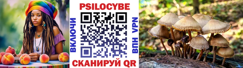 Галлюциногенные грибы мицелий Балахна